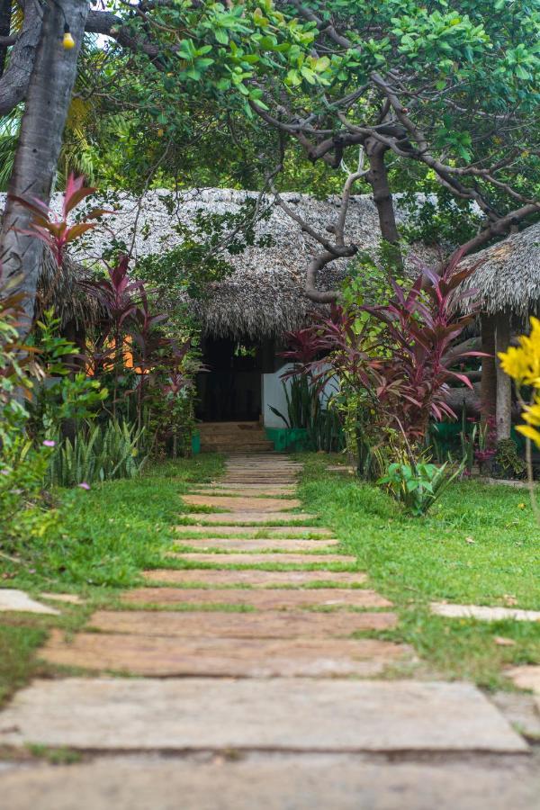 Hotel Ciamat Camp à Santo Amaro do Maranhao Extérieur photo
