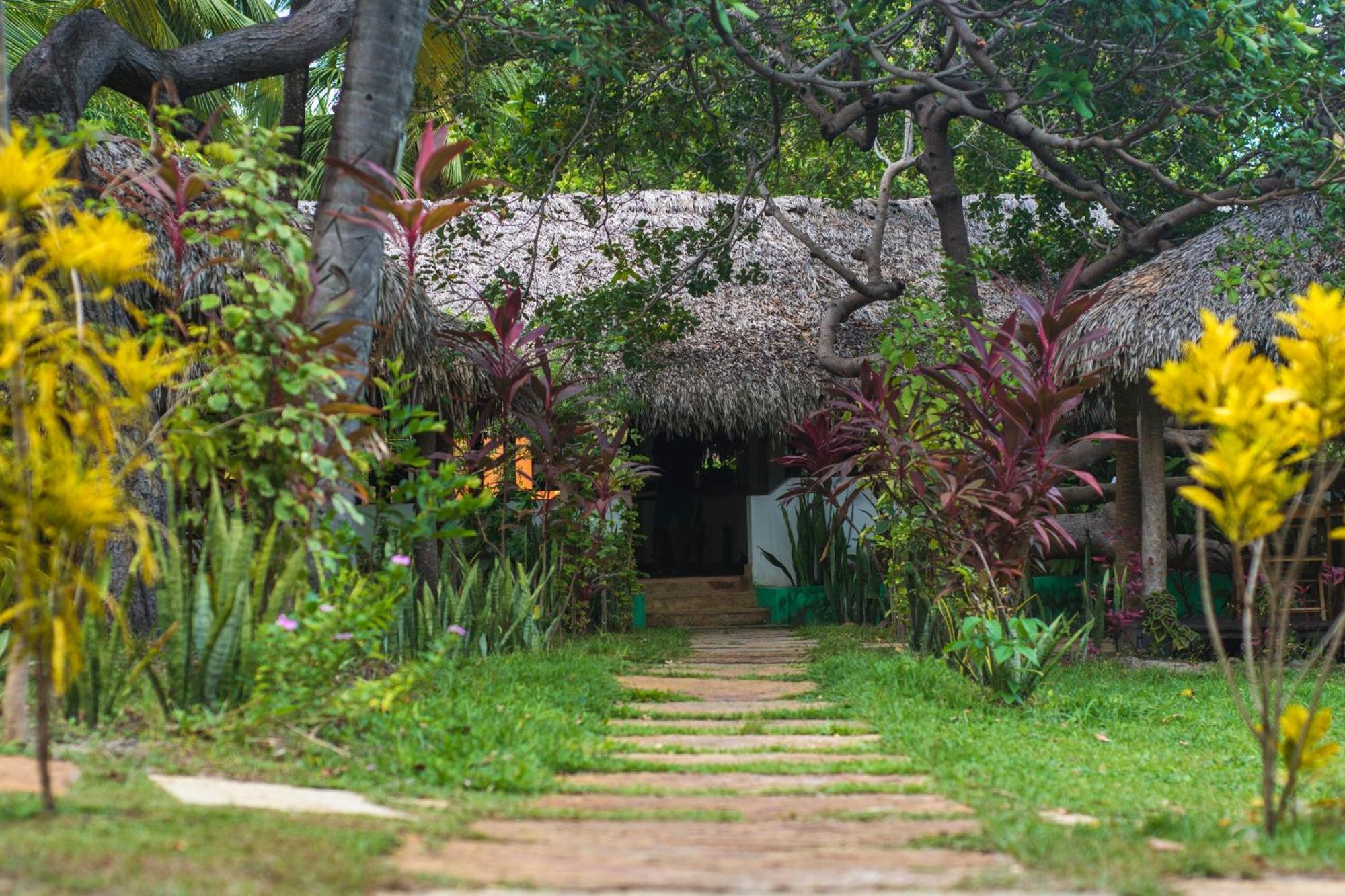 Hotel Ciamat Camp à Santo Amaro do Maranhao Extérieur photo